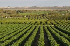 fonduri europene agricultura