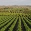 fonduri europene agricultura