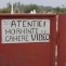 morminte