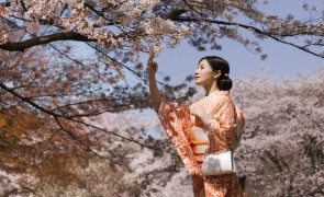 Woman in Traditional Dress Beside Cherry Blossom Trees