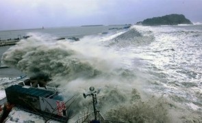 taifun