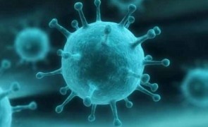 virus boala bacterie 