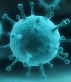 virus boala bacterie