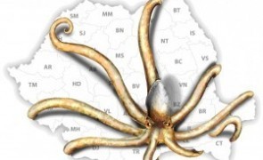 caracatita