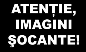 socant imagini socante