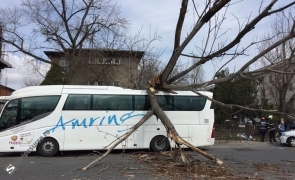 accident autocar