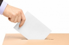 vot, referendum