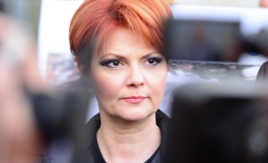Lia Olguta Vasilescu