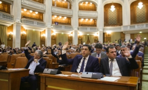 serban nicolae parlament