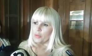 Elena Udrea audiere comisie SRI