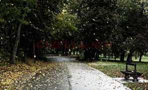 vreme, frig, parc