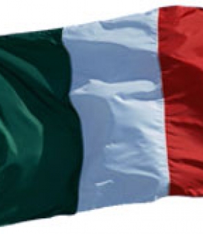 steag italia
