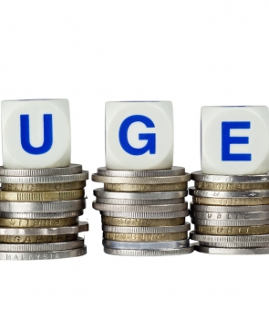 buget