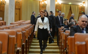 Lia Olguta Vasilescu parlament