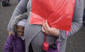 protest mame copii Piața Victoriei 18 feb 2018