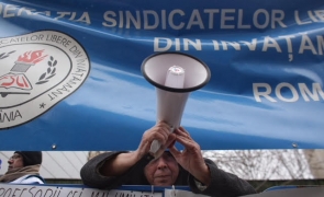 Protest FSLI la Ministerul Muncii