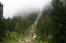 munte, cascada, pădure, natură