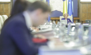 sedinta de Guvern Viorica Dancila
