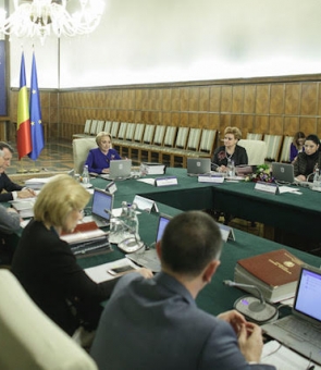 sedinta de Guvern Viorica Dancila