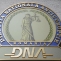 Sigla DNA