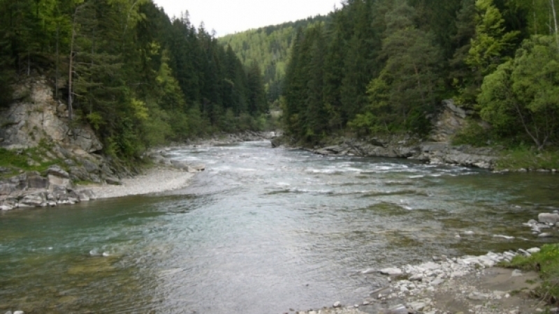 râu, apă poluată