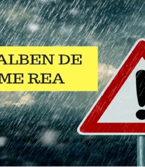 Cod galben de vreme rea