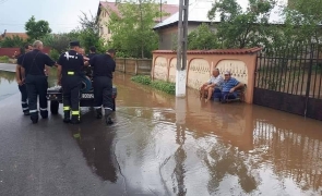 De la Teleorman De la Teleorman