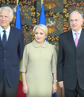 dancila villpein