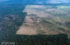 padure amazonia