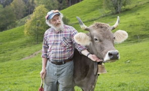 Armin Capaul vaca