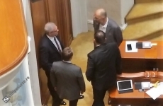 dragnea