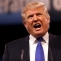 trump-donald
