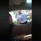 politie targoviste