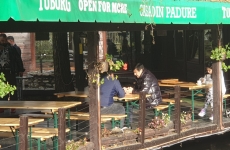 Toni Grebla, sedinta romi