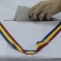 Inquam vot coada vot votare sectie de votare sectie