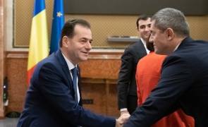 orban barna