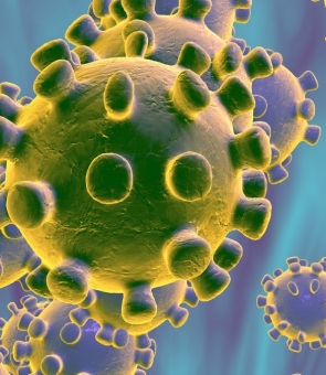 coronavirus