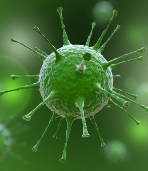 coronavirus