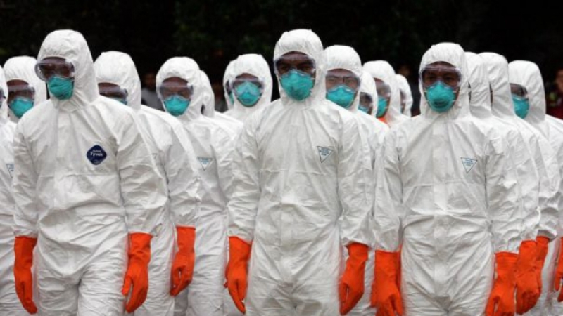 Gripa Aviară Lovește Din Nou In Europa Sunt Afectați Curcanii