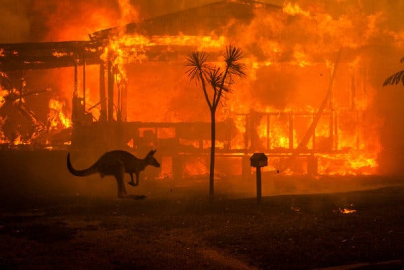 Fumul de la incendiile din Australia va face