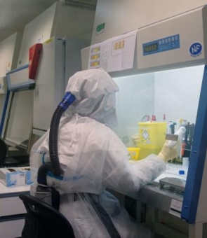 coronavirus