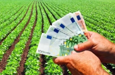 bani europeni agricultura