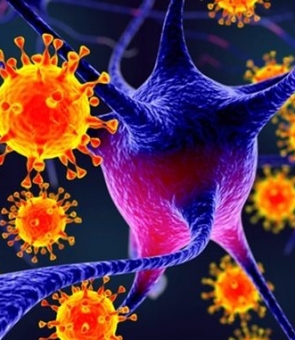 coronavirus covid-19 covid