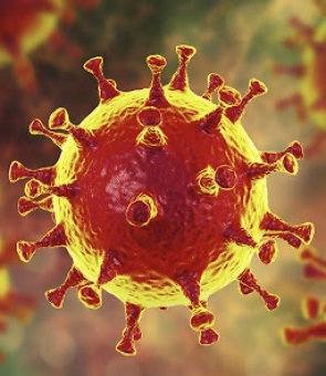 coronavirus