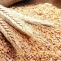 grau criza alimentara
