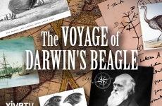 Darwin beagle