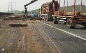 lemne autostradă