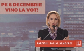 Gabriela Firea