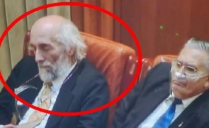 mircea daneasa