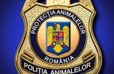 Politia Animalelor